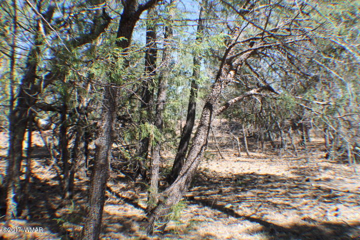 94 G Show Low Lake Road Lakeside, AZ 85929 - Photo 4 of 23