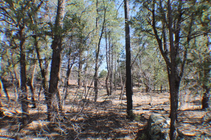 94 G Show Low Lake Road Lakeside, AZ 85929 - Photo 6 of 23