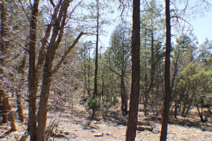 94 G Show Low Lake Road Lakeside, AZ 85929 - Photo 7 of 23