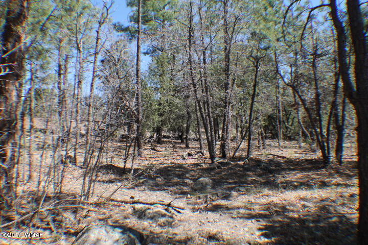 94 G Show Low Lake Road Lakeside, AZ 85929 - Photo 8 of 23