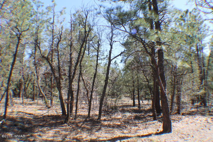 94 G Show Low Lake Road Lakeside, AZ 85929 - Photo 9 of 23