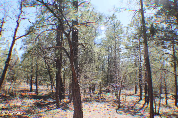 94 G Show Low Lake Road Lakeside, AZ 85929 - Photo 10 of 23