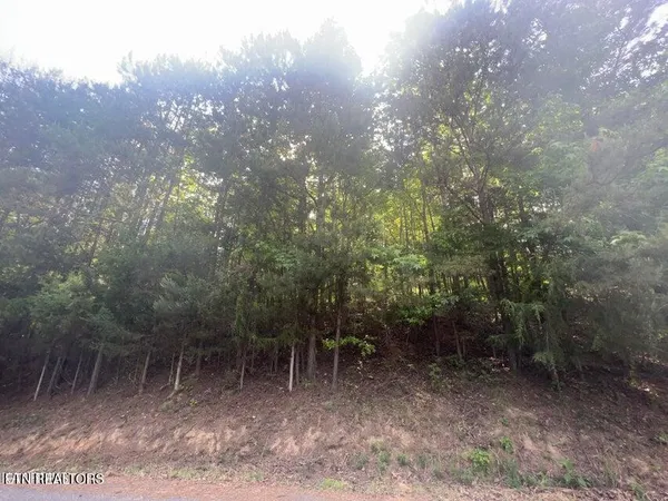 $29,900 | 123 Hilty Head, La Follette, TN 37766