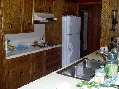 8028 West River Road Irons, MI 49644 - Photo 5 of 9 Additional Photo