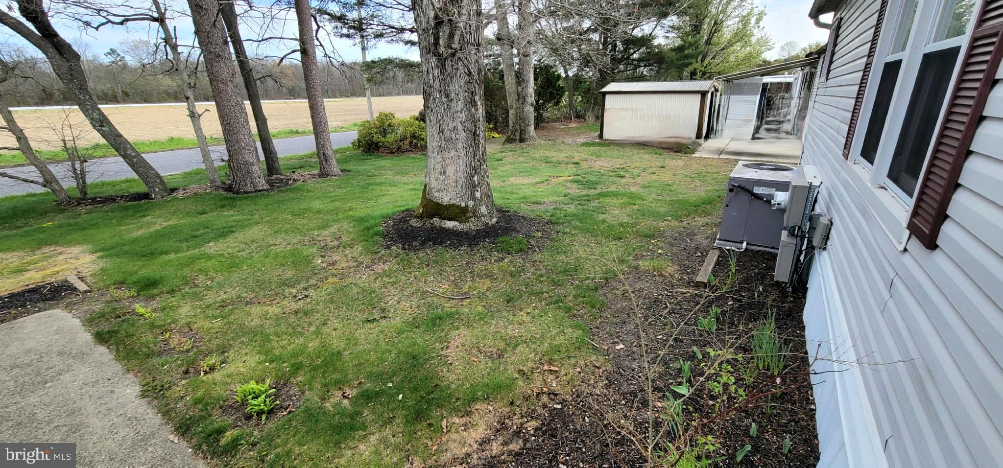 311 John Alden Drive Buena, NJ 08310 - Photo 21 of 35 a view of a house with backyard and a tree
