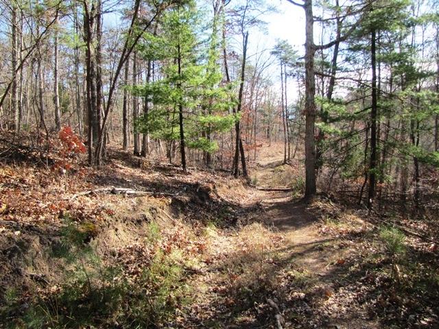 Blankenship Road Peterstown, WV 24963 - Photo 8 of 8 Gallery Image 8