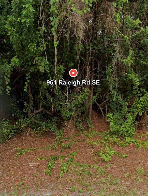 961 Raleigh Road Southeast Palm Bay, FL 32909 - Photo 2 of 2 Gallery Image 2
