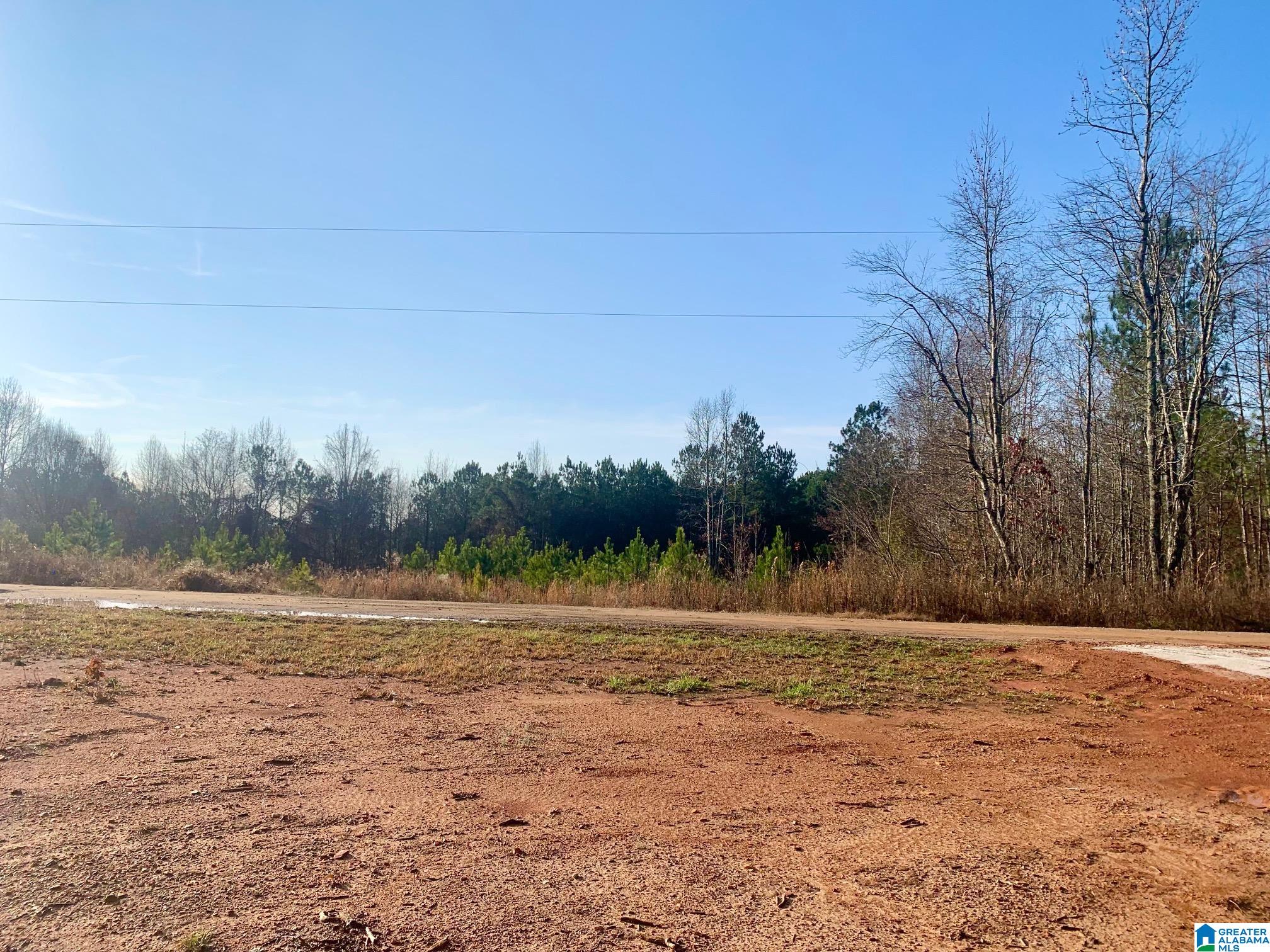 434 County Road 852, Unit 1 Ranburne, AL 36273 - Photo 2 of 14