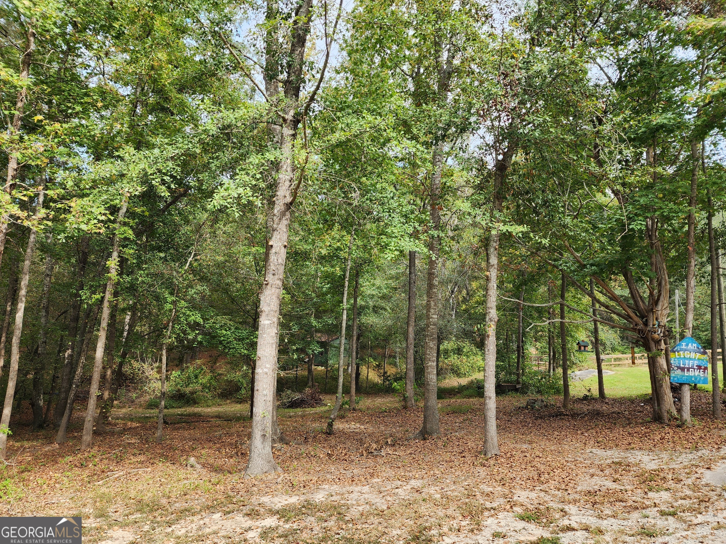 260 Old Copelan Road Southeast Eatonton, GA 31024 - Photo 83 of 88 a backyard of a house with lots of trees