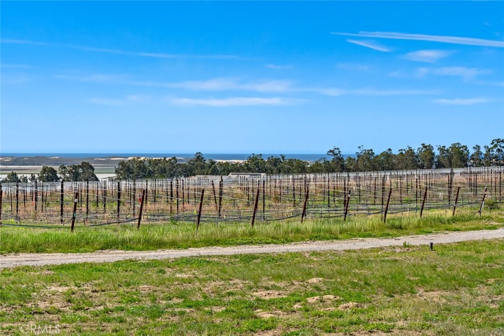 1590 Eucalyptus Road Nipomo, CA 93444 - Photo 30 of 75