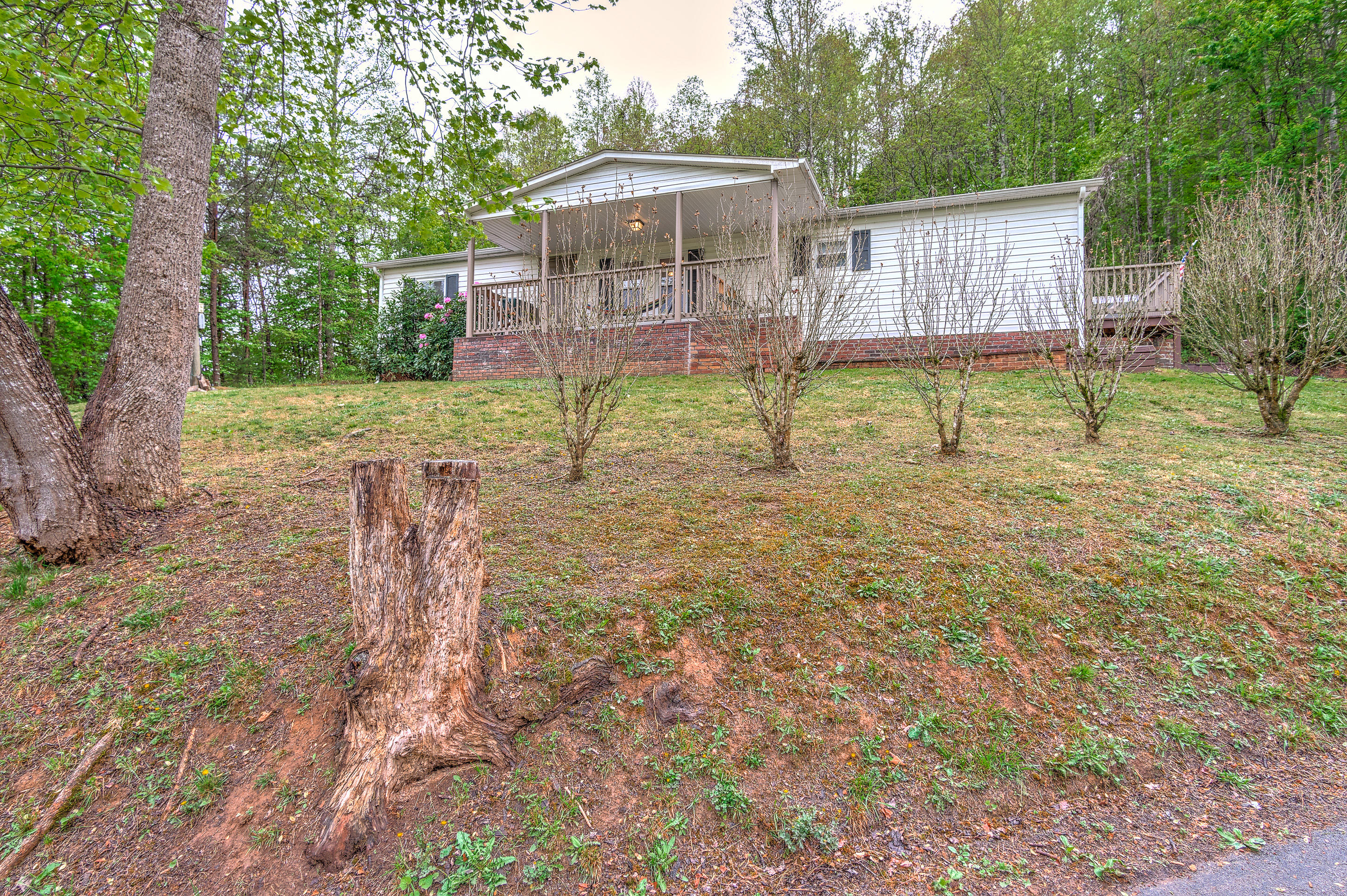 850 Hickory Tree Road Bristol, TN 37620 - Photo 3 of 37 Front