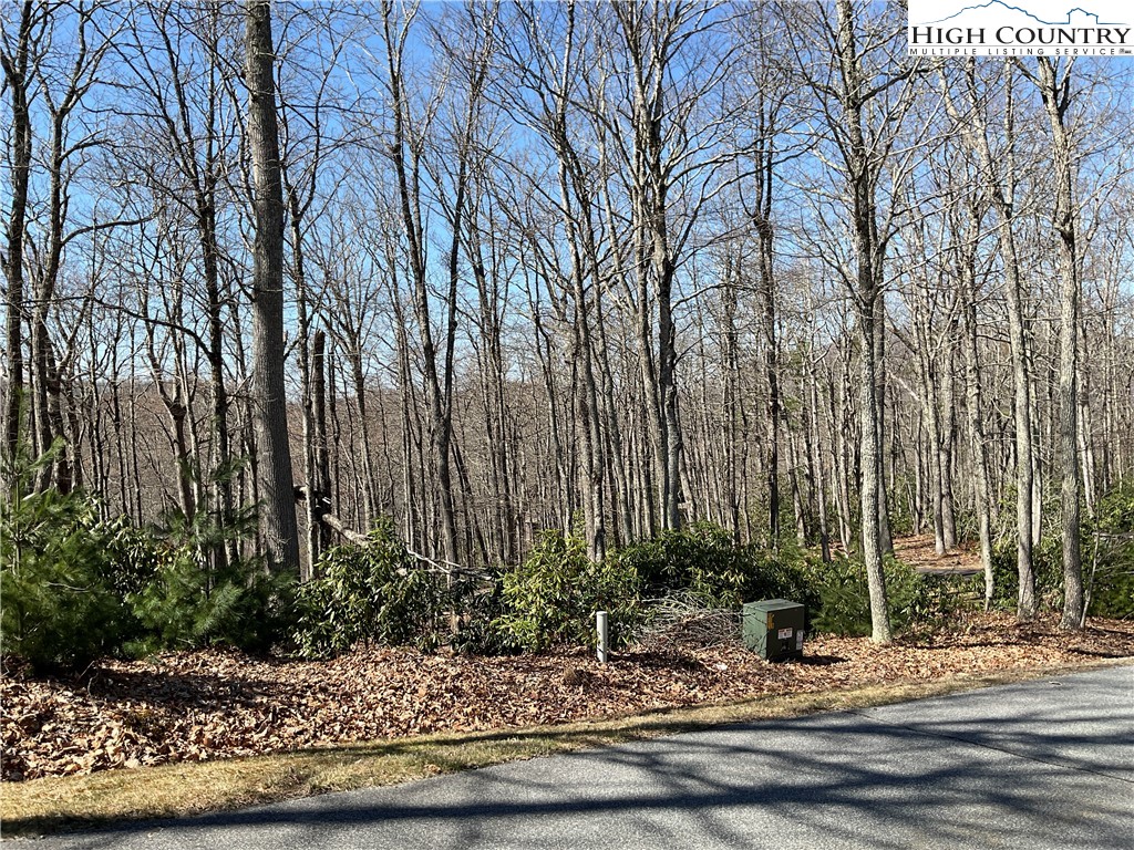 Lot 11-12 Sunset Ridge Drive Boone, NC 28607 - Photo 7 of 28