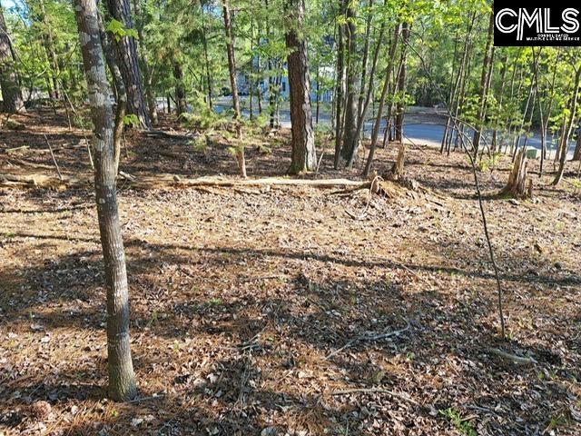 512 Links Pointe Court Chapin, SC 29036 - Photo 3 of 8