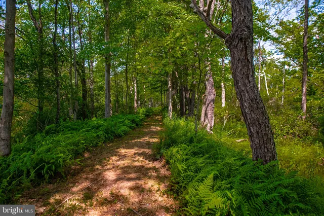 $249,900 | 1084 Clarence Road, Clarence, PA 16829