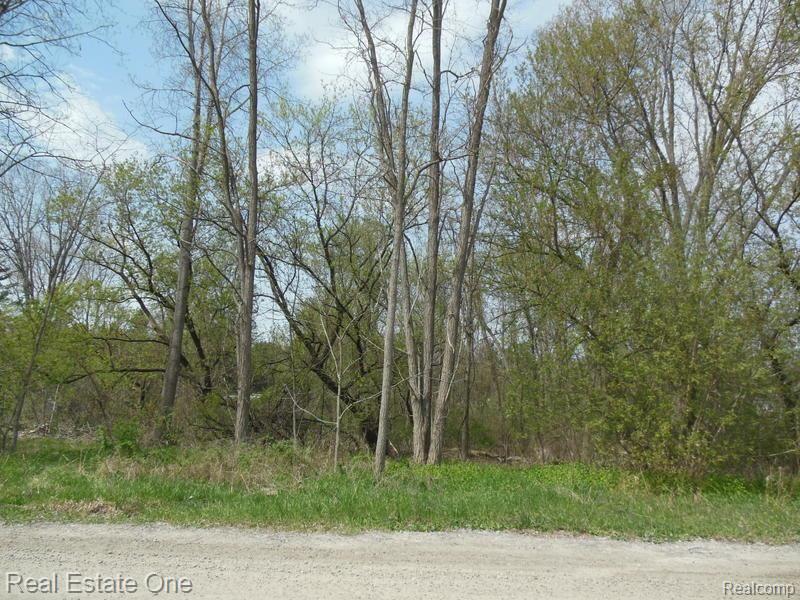 Lot 1 Oak Grove Road Howell, MI 48855 - Photo 1 of 3
