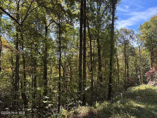 $8,500 | 3 Holly Ridge Drive, Topton, NC 28781