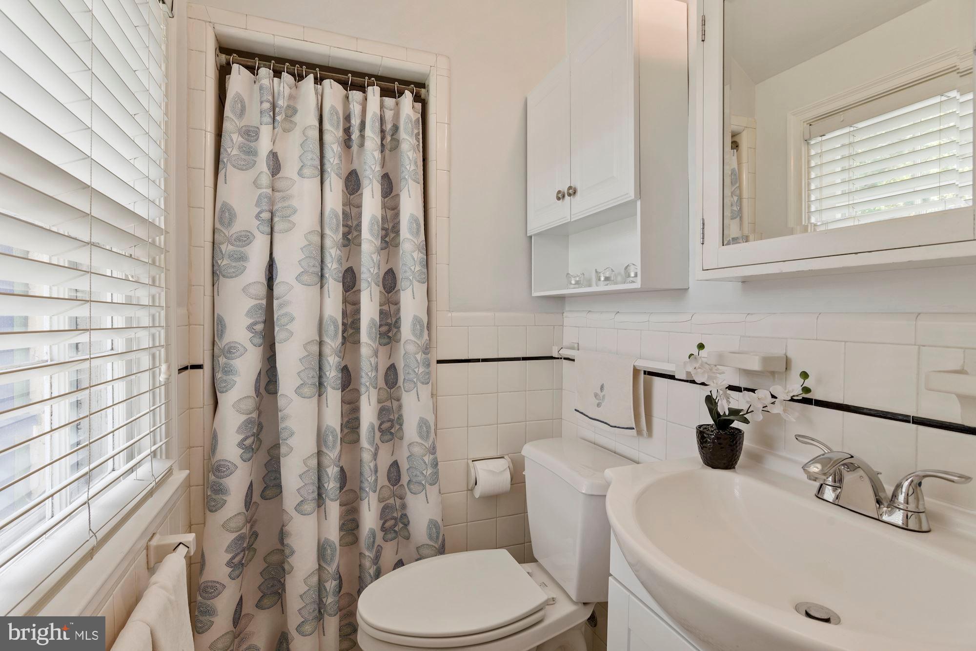 332 Broadmoor Road Baltimore, MD 21212 - Photo 20 of 40 Master Bath with a view