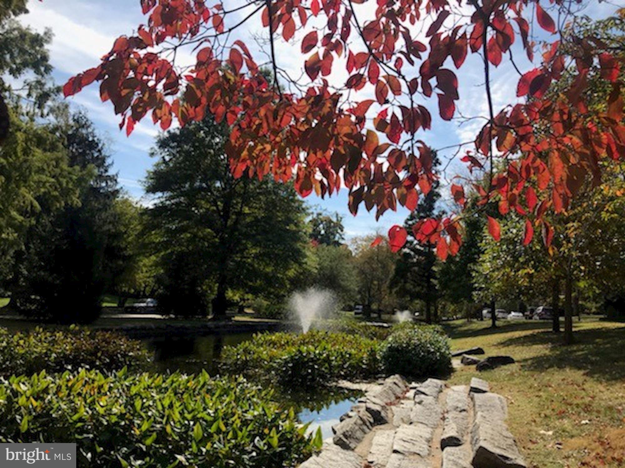 332 Broadmoor Road Baltimore, MD 21212 - Photo 39 of 40 Ponds of Homeland in the Fall