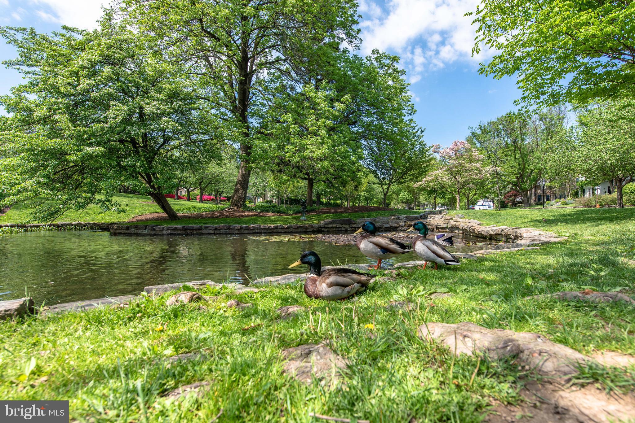 332 Broadmoor Road Baltimore, MD 21212 - Photo 40 of 40 Amazing Place to spend the quality time at