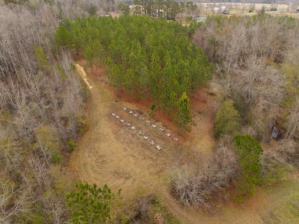998 Fellowship Road Hahira, GA 31632 - Photo 74 of 79 Gallery Image 74