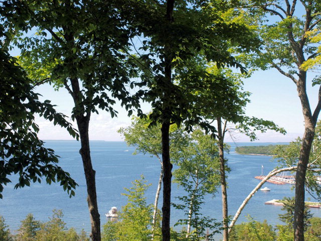 4772 Fox Point Road, Unit 223 Egg Harbor, WI 54209 - Photo 1 of 1 Main View