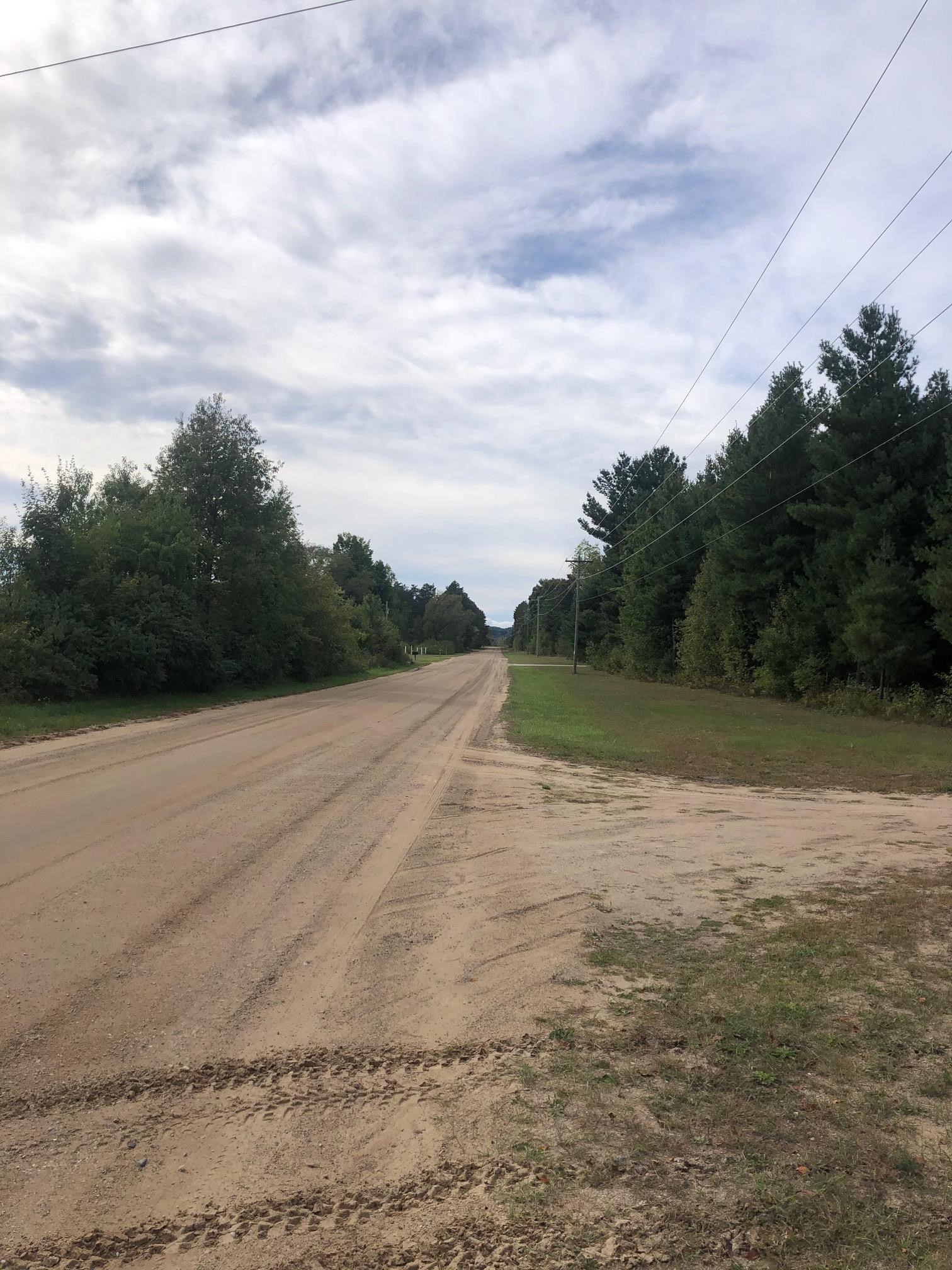 53-acres Potter Road Kaleva, MI 49645 - Photo 29 of 30 Gallery Image 29