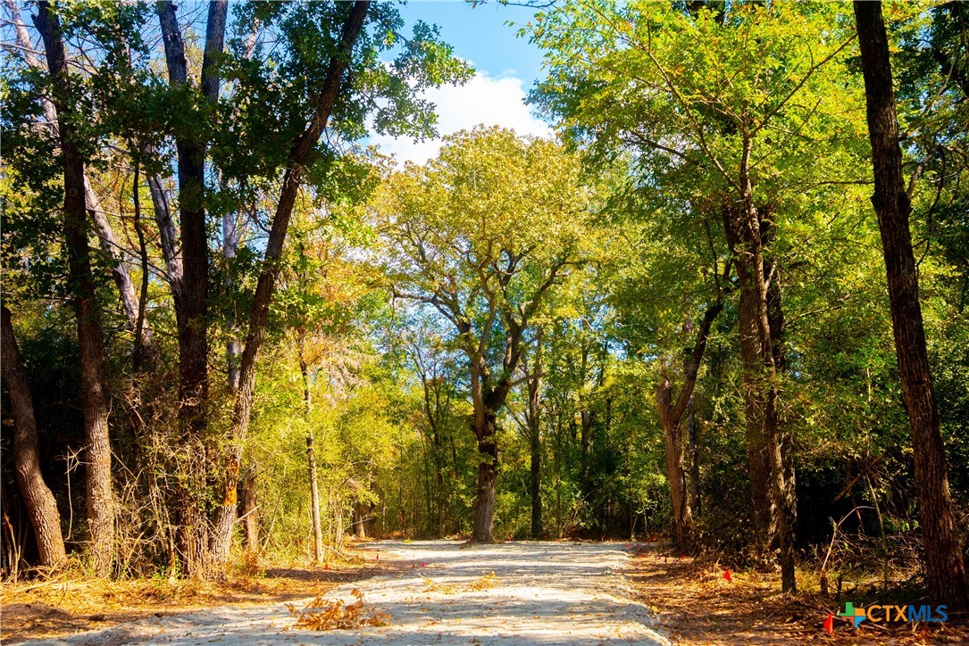 a view of a yard with trees