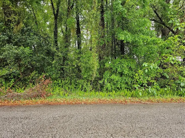 a view of a road from a garden
