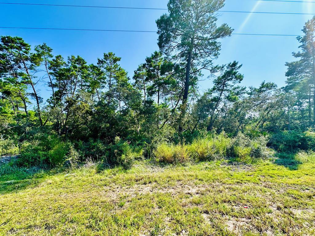 182 Airport Road Carrabelle, FL 32322 - Photo 2 of 11