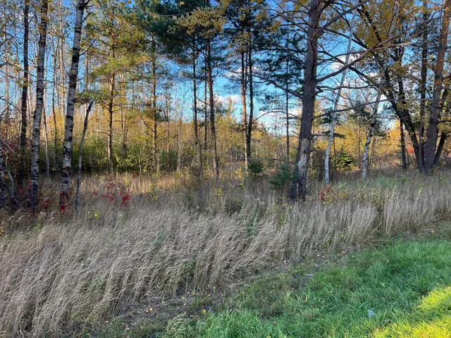 $199,900 | 0 State Highway, Sandstone, MN 55072