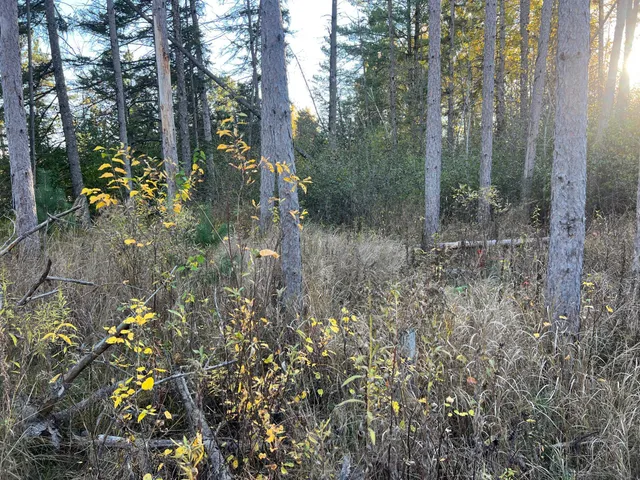 $199,900 | 0 State Highway, Sandstone, MN 55072