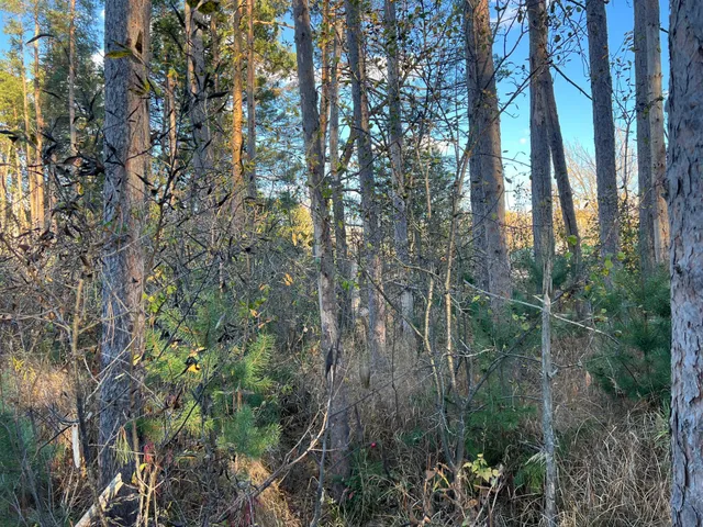 $199,900 | 0 State Highway, Sandstone, MN 55072