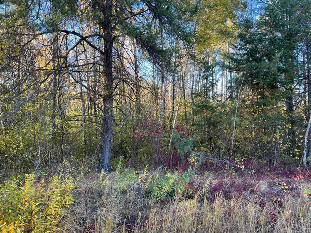 $199,900 | 0 State Highway, Sandstone, MN 55072