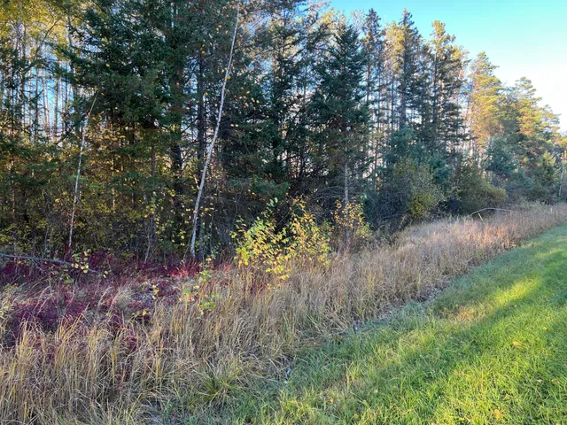 $199,900 | 0 State Highway, Sandstone, MN 55072