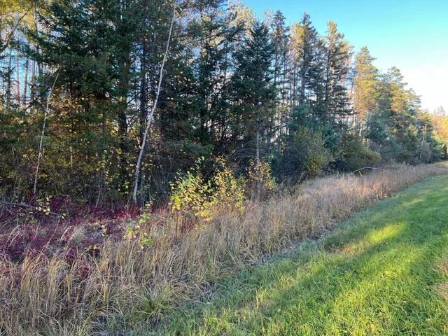 $199,900 | 0 State Highway, Sandstone, MN 55072