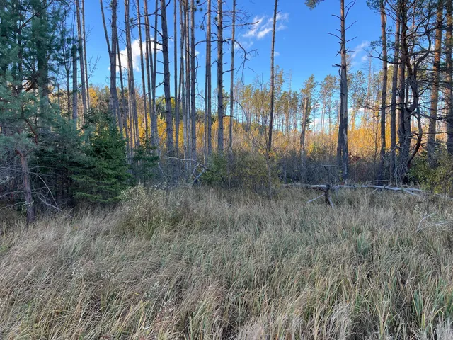 $199,900 | 0 State Highway, Sandstone, MN 55072