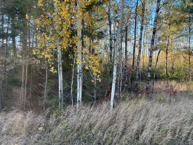 $199,900 | 0 State Highway, Sandstone, MN 55072