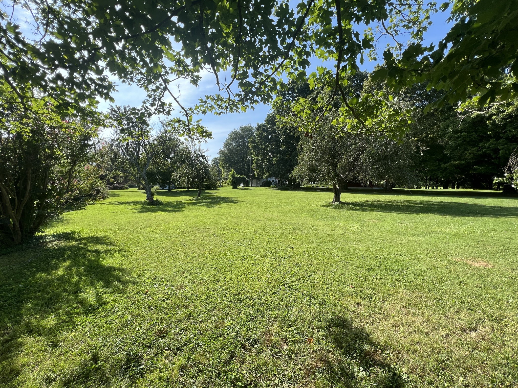 201 Butler Bridge Road Portland, TN 37148 - Photo 41 of 51 a view of outdoor space with a garden and trees