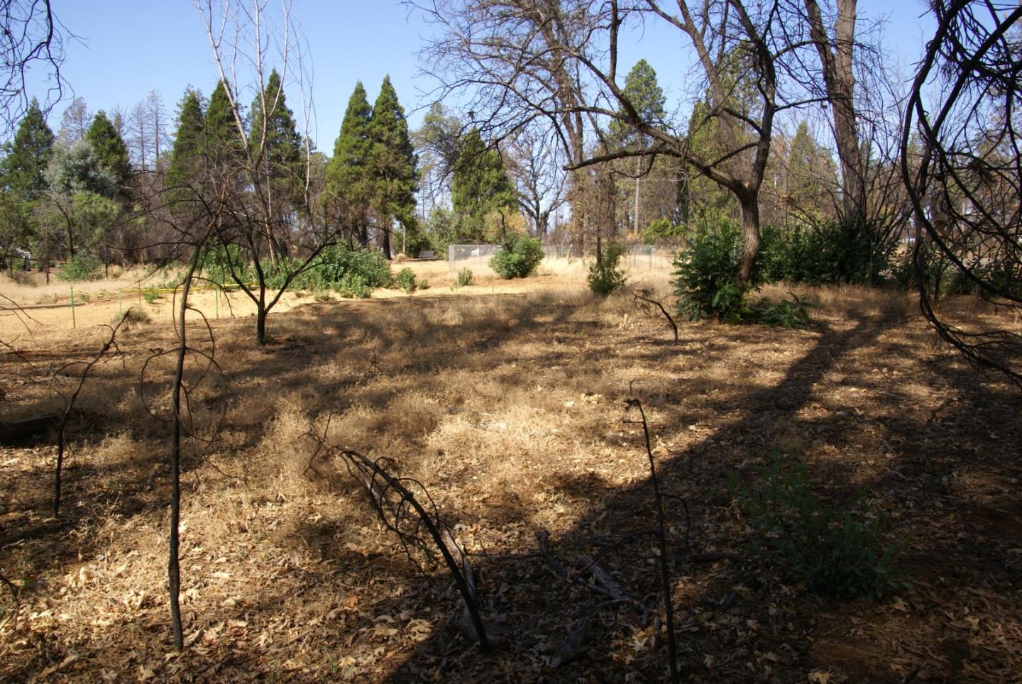 5548 Foland Road Paradise, CA 95969 - Photo 8 of 10 a view of outdoor space with trees