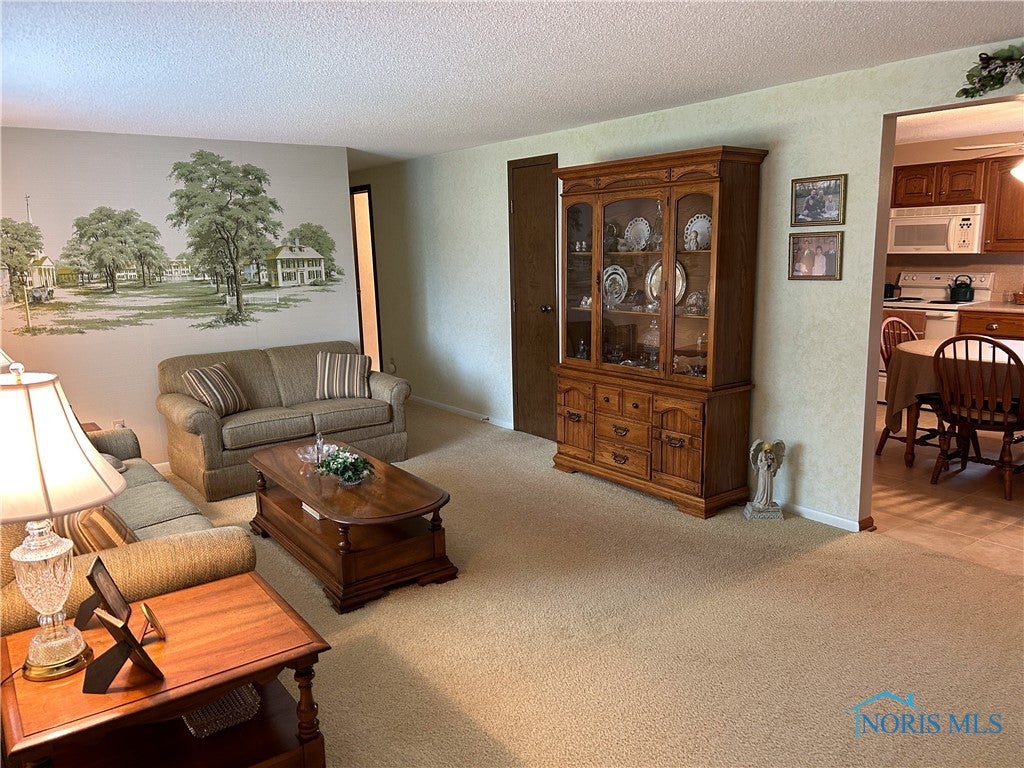 270 Ruth Ann Drive Defiance, OH 43512 - Photo 14 of 31 Living Room from front door