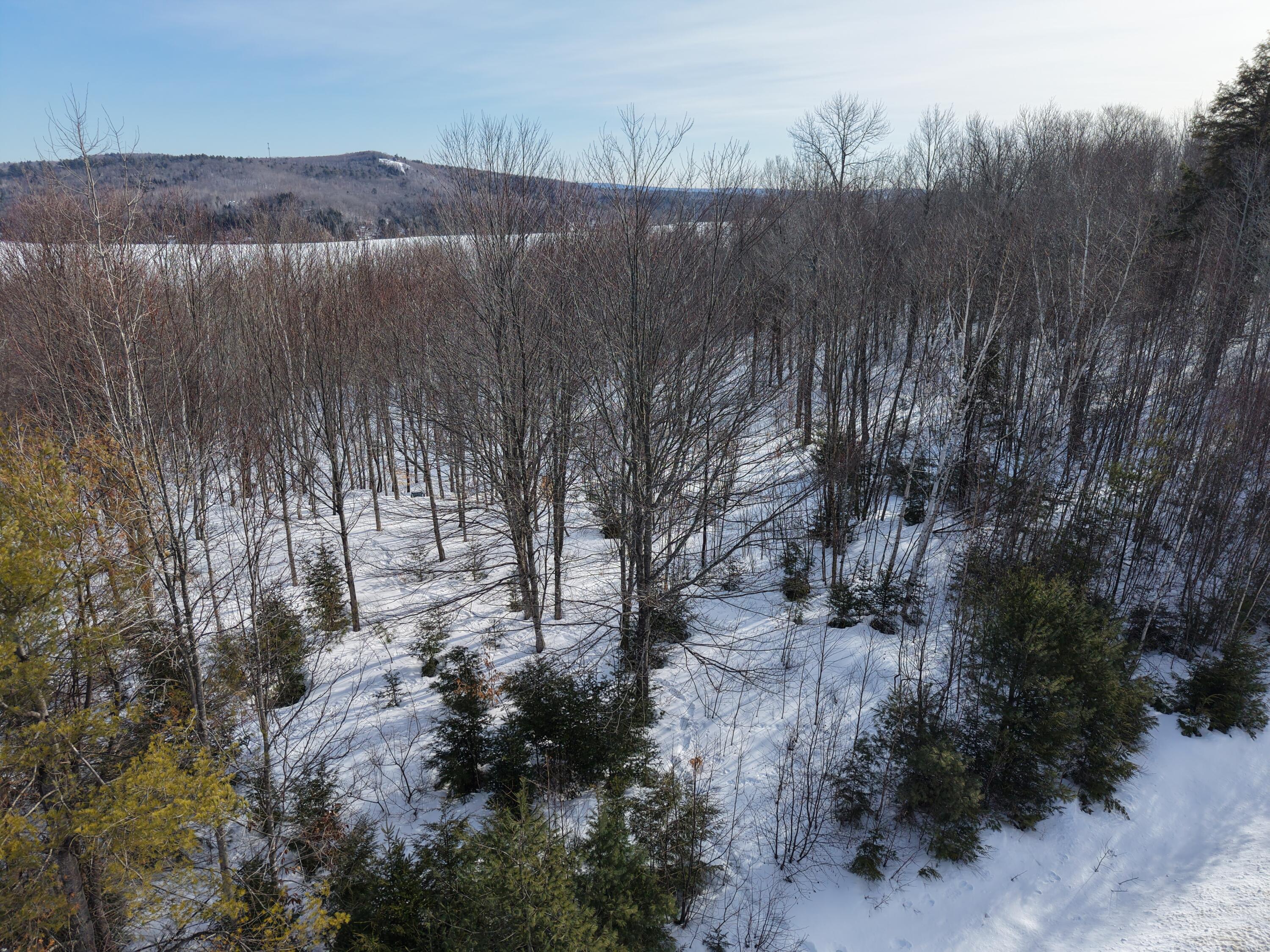 M7-l13-1 Pine Bluff Road Embden, ME 04958 - Photo 4 of 22
