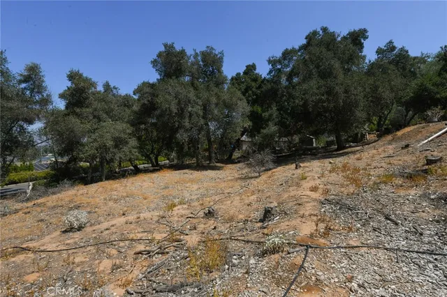 a view of a yard with a tree
