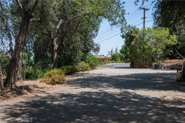 a view of road with view of trees