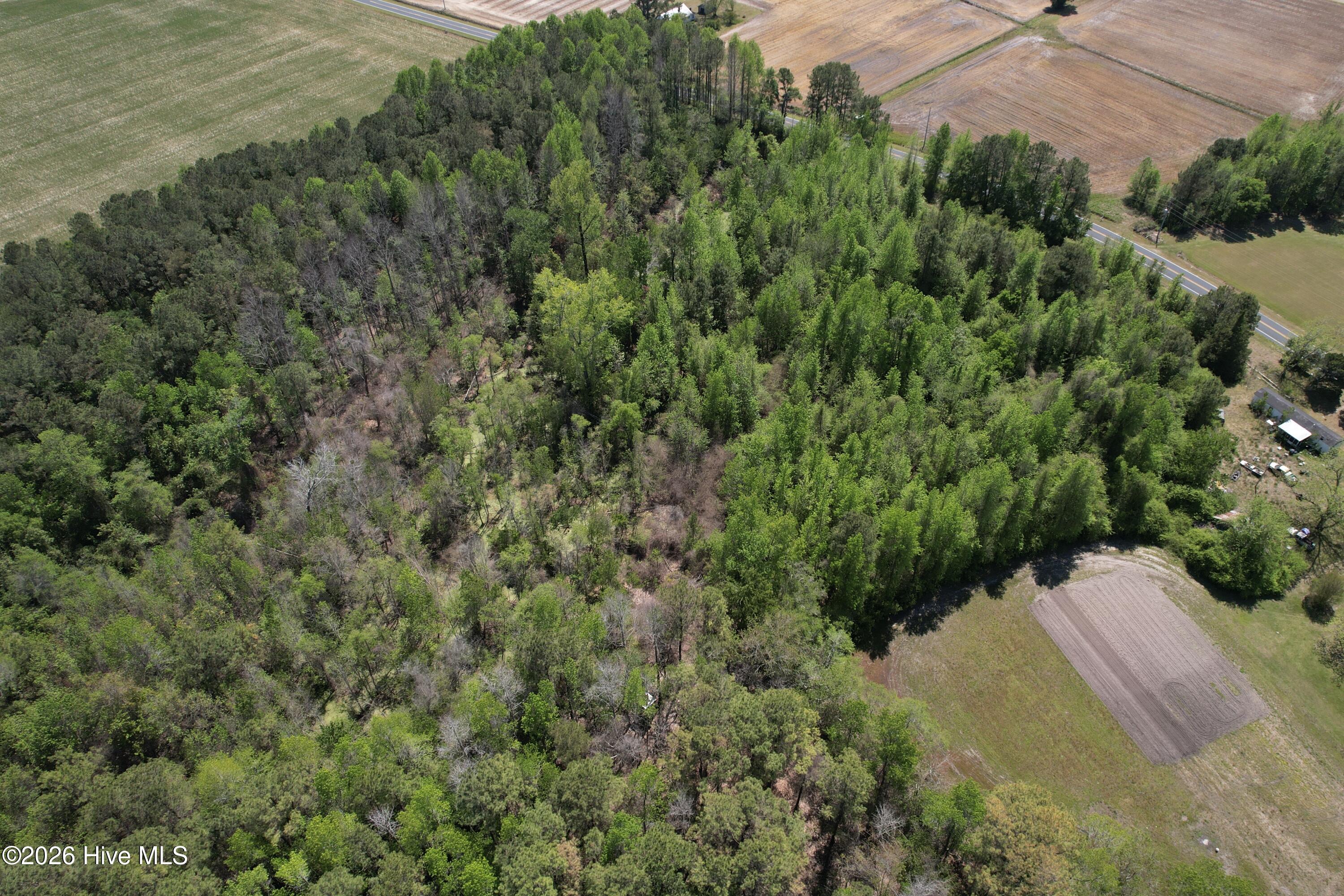 4758 Princess Ann Road Chadbourn, NC 28431 - Photo 10 of 35 Image 8