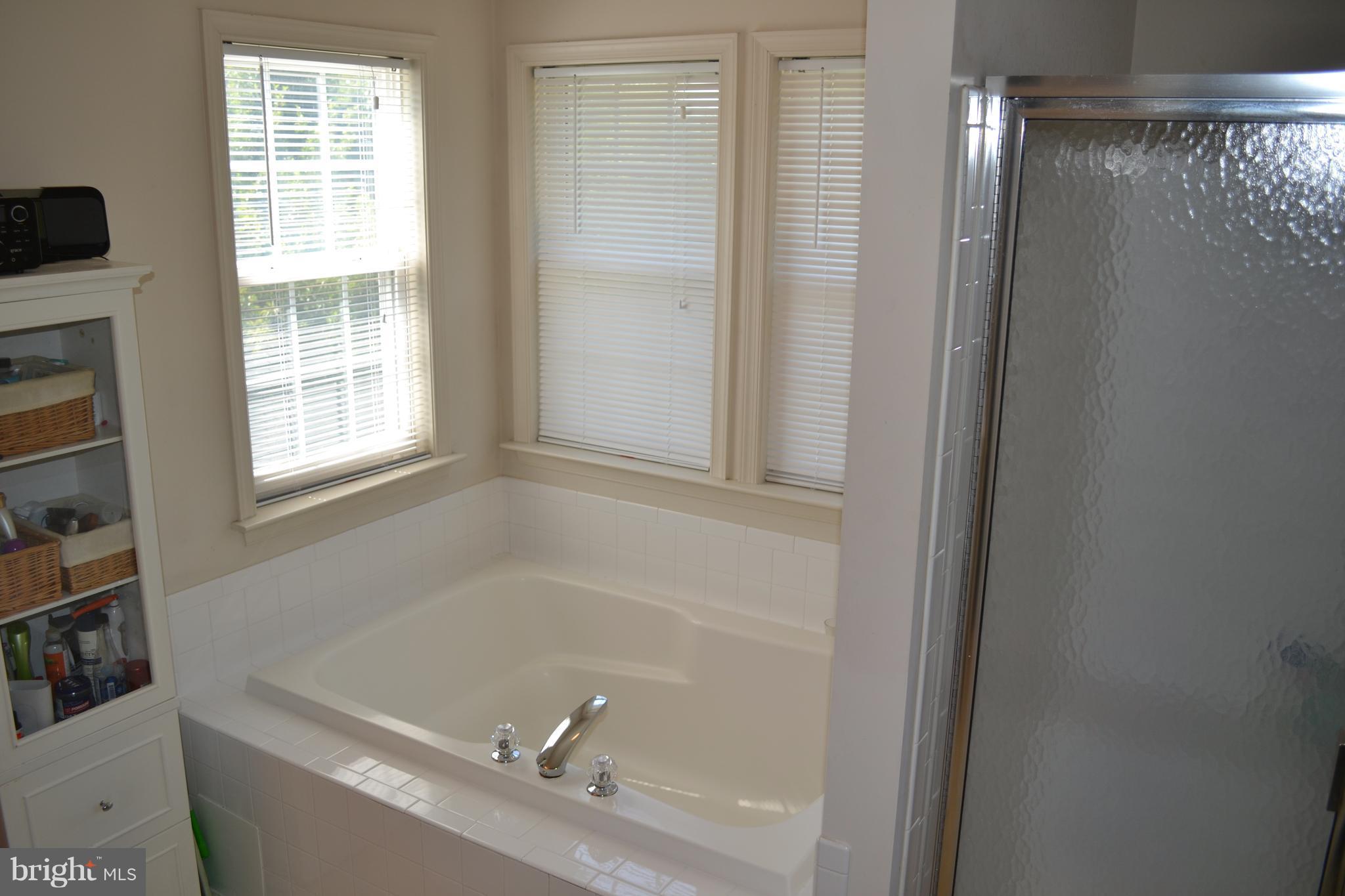 6905 Richardson Road Baltimore, MD 21207 - Photo 18 of 30 Bath (Master)