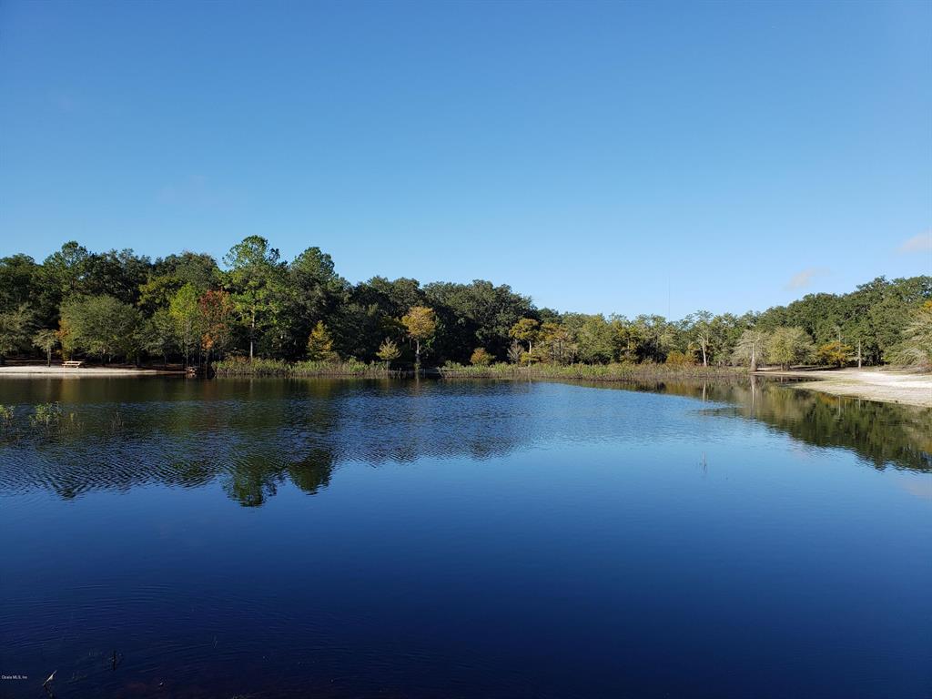 102 Northeast 97th St Road Anthony, FL 32617 - Photo 1 of 1 102ac Indian Lake (6)