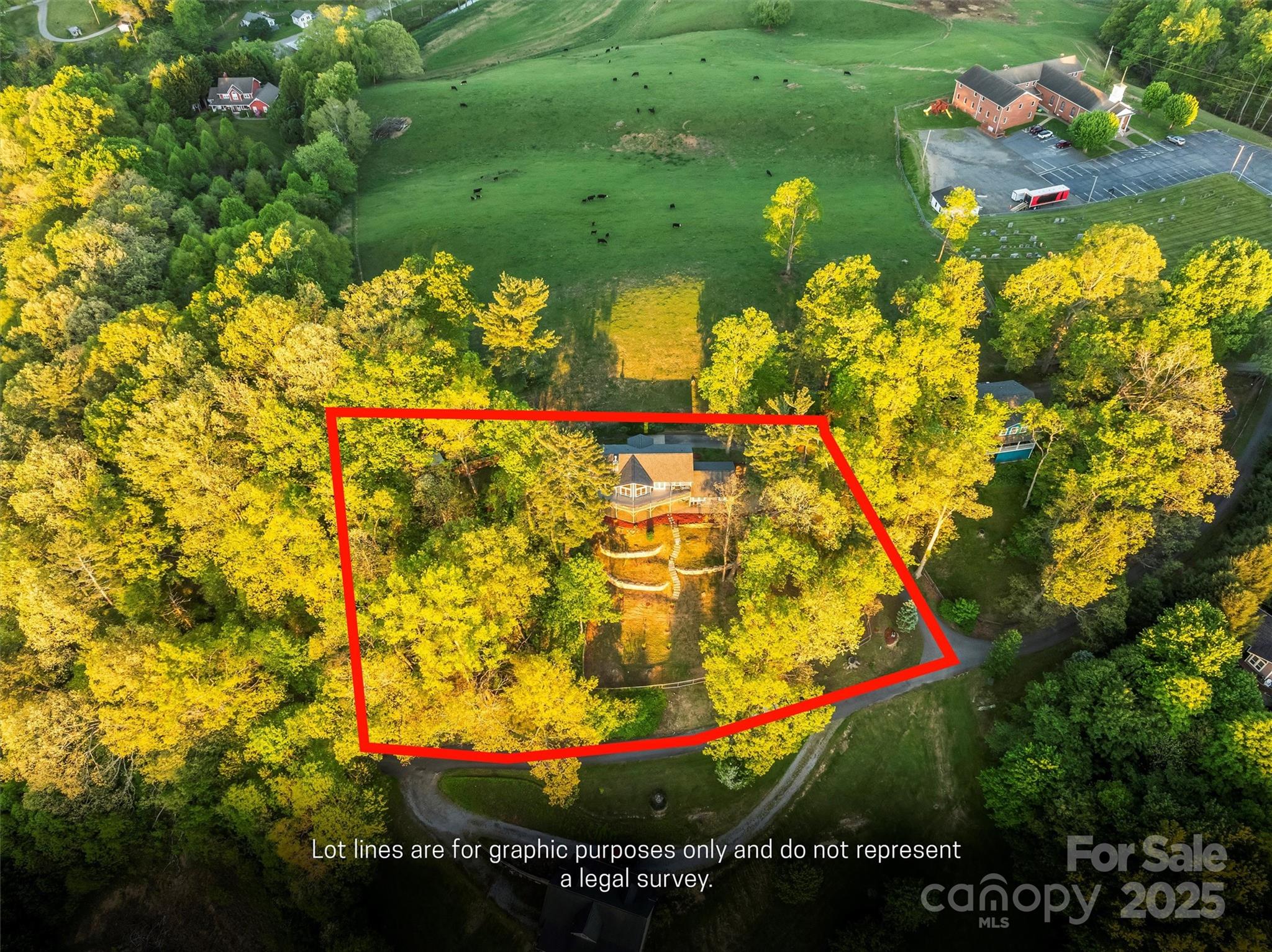 84 Halfmoon Way Clyde, NC 28721 - Photo 48 of 48 a view of a yard