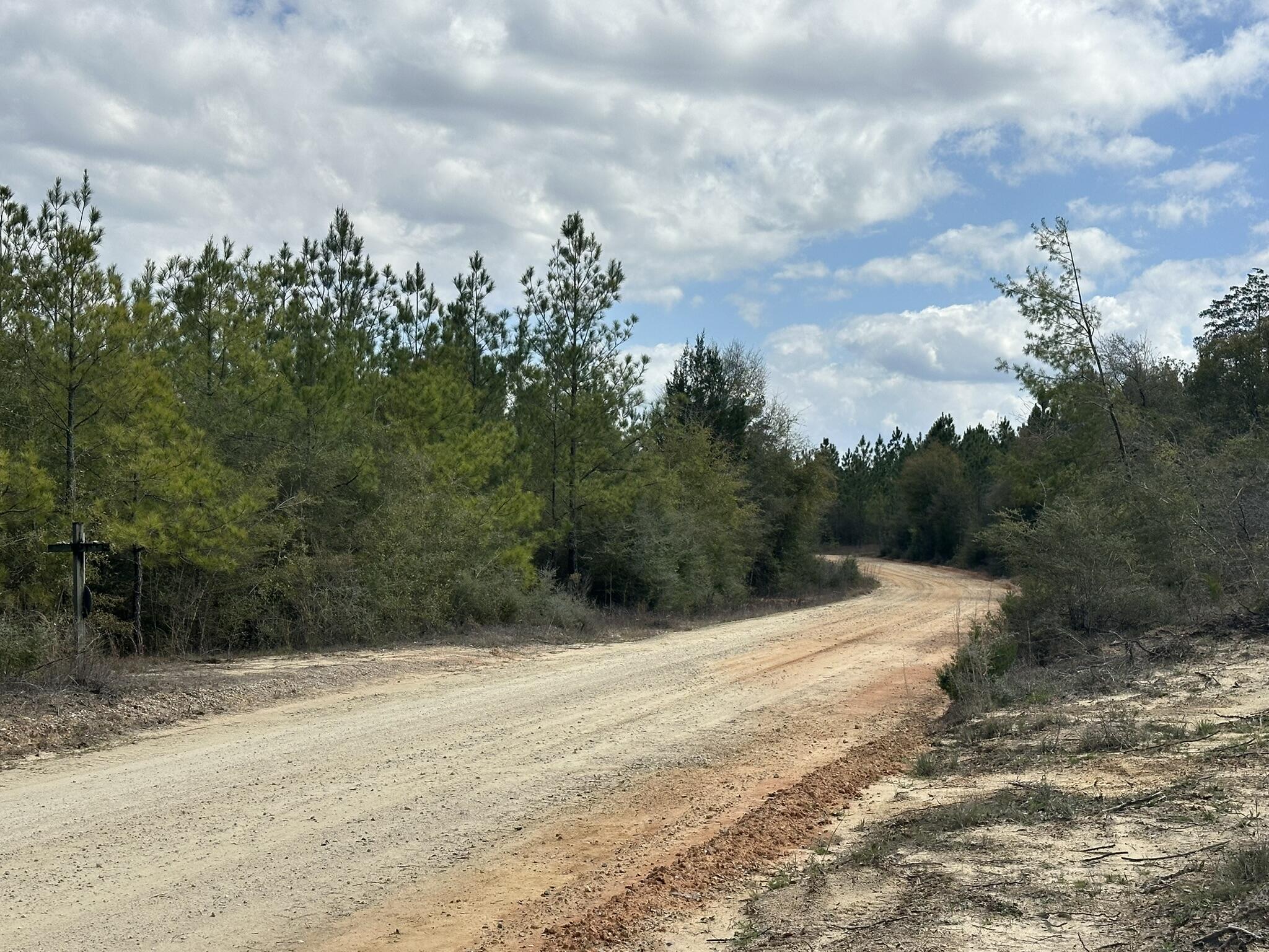 Tract#6418 Mattox Springs Road, Unit NORTH 2 Caryville, FL 32427 - Photo 4 of 6 a view of a dry yard with wooden fence
