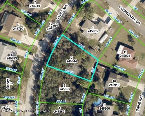 Cabot Ave Spring Hill Spring Hill, FL 34606 - Photo 1 of 1 Gallery Image 1