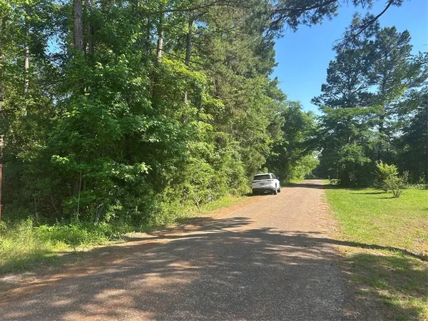 a view of a yard with a tree